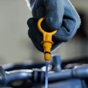 oil change raleigh